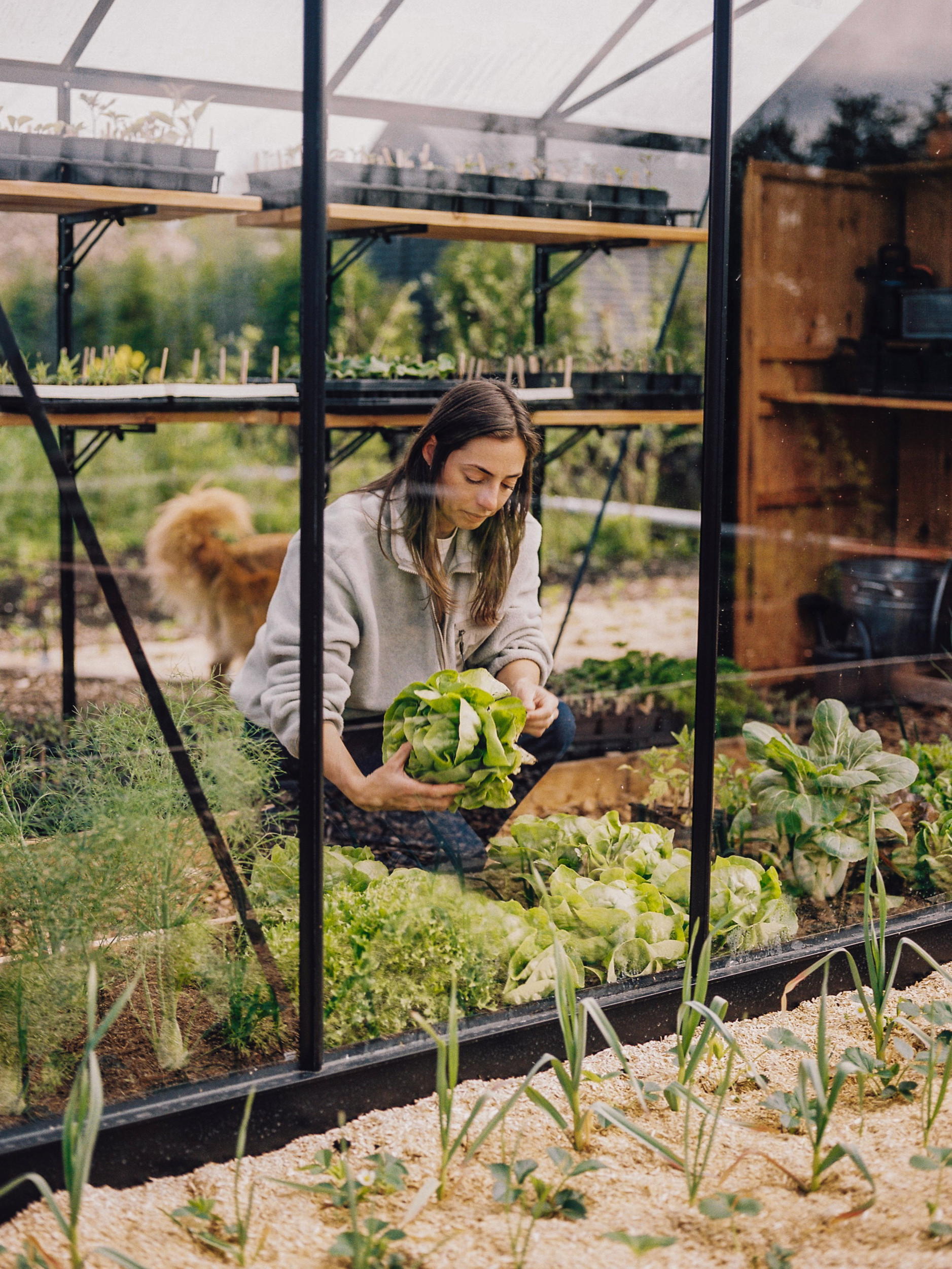 Floors moestuin. Beeld Hanke Arkenbout