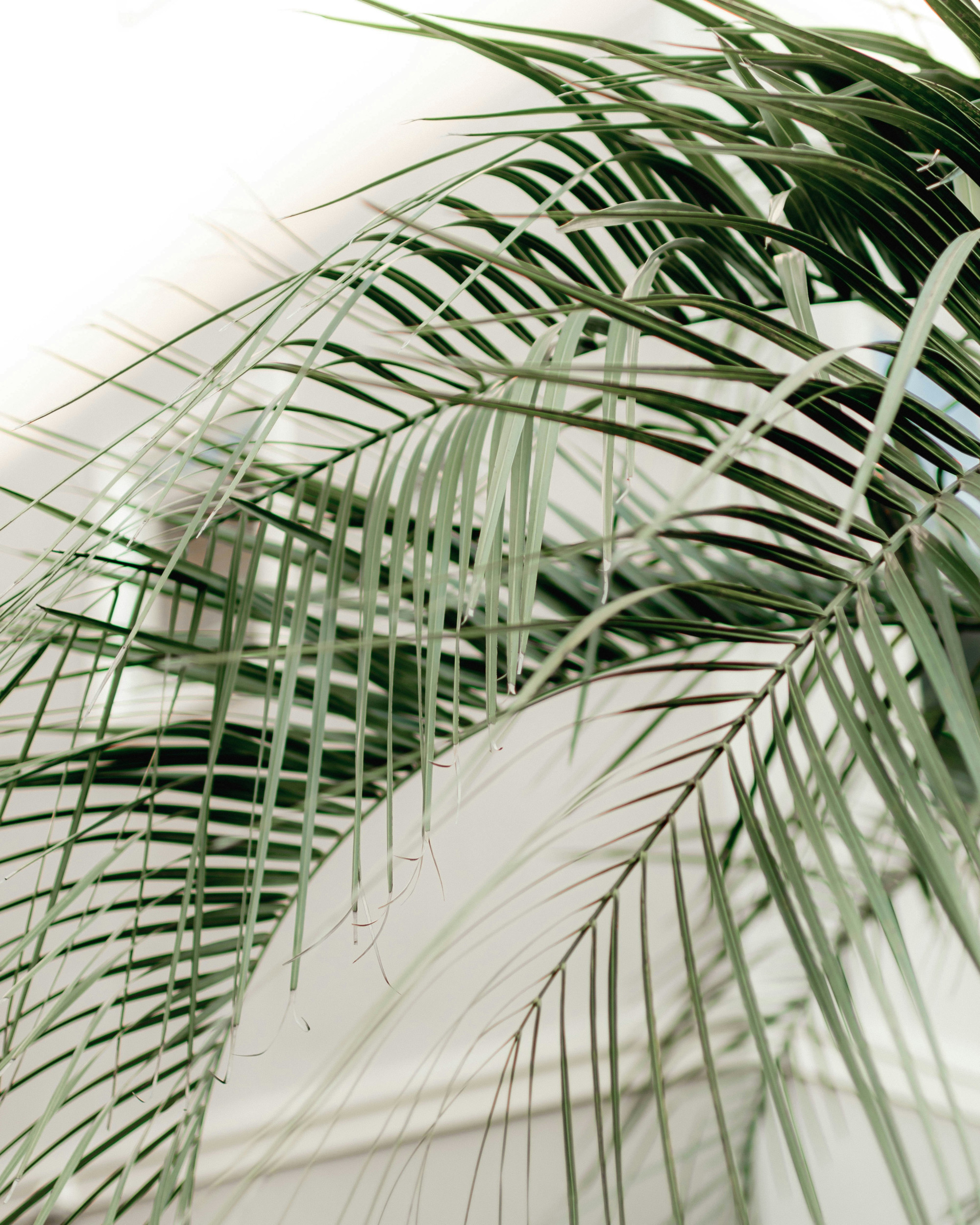 Beeld Unsplash