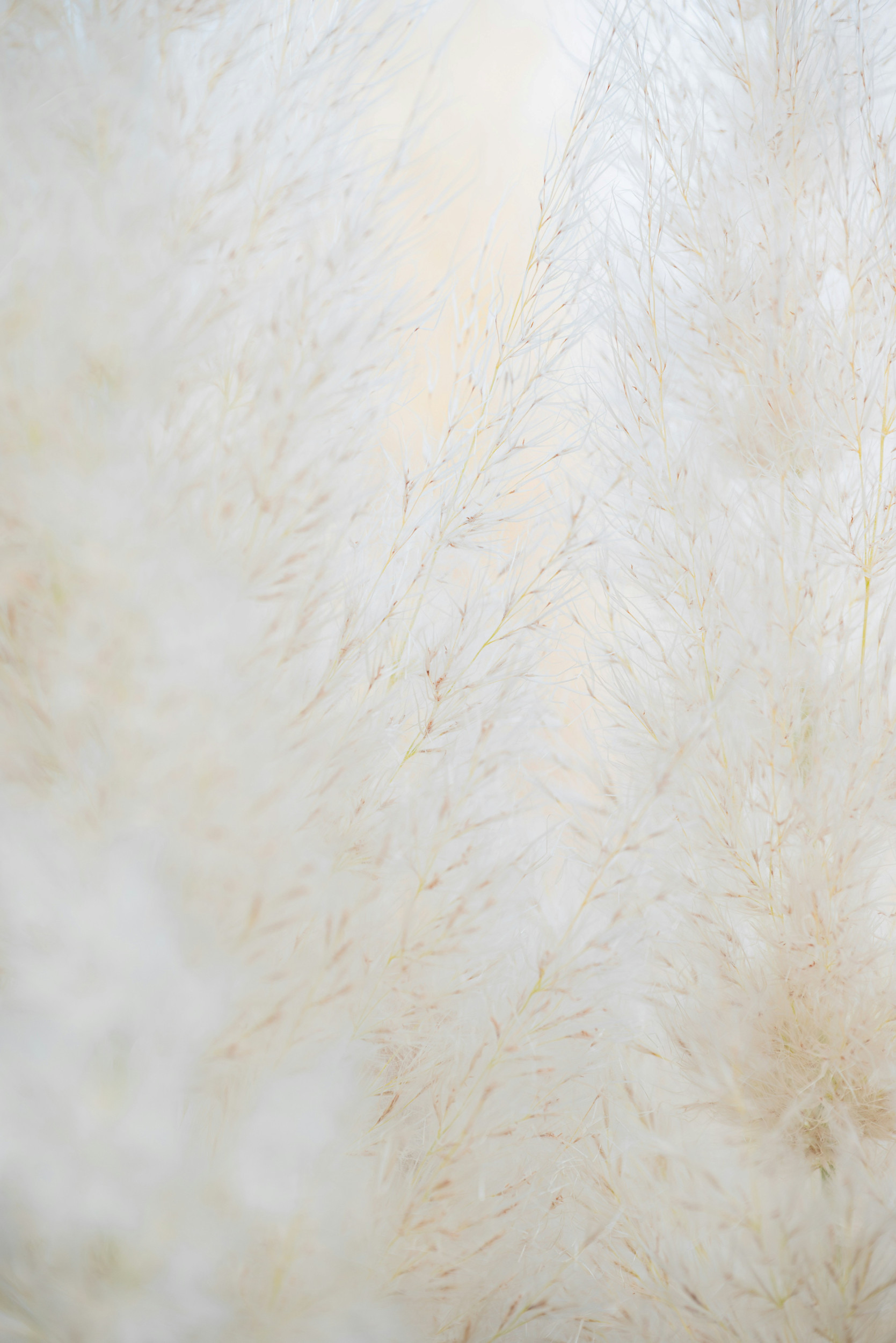 Beeld Unsplash
