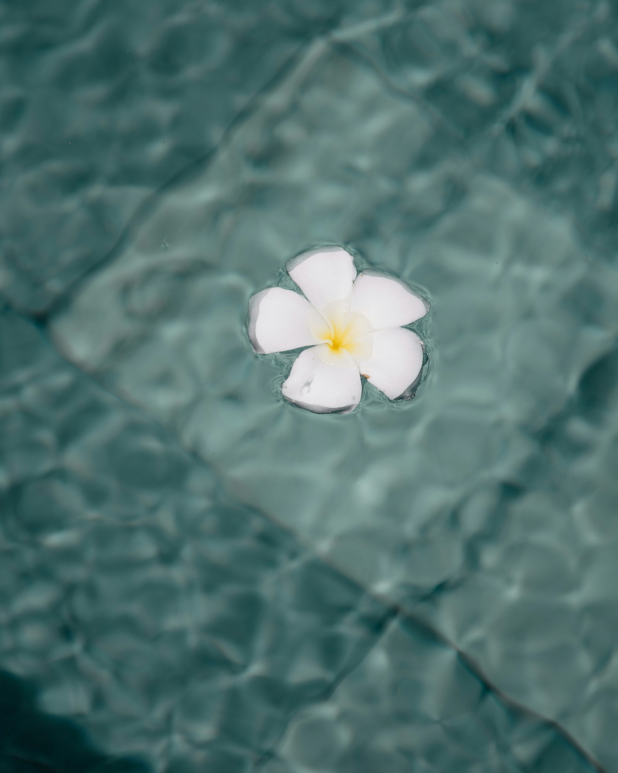 Beeld Unsplash