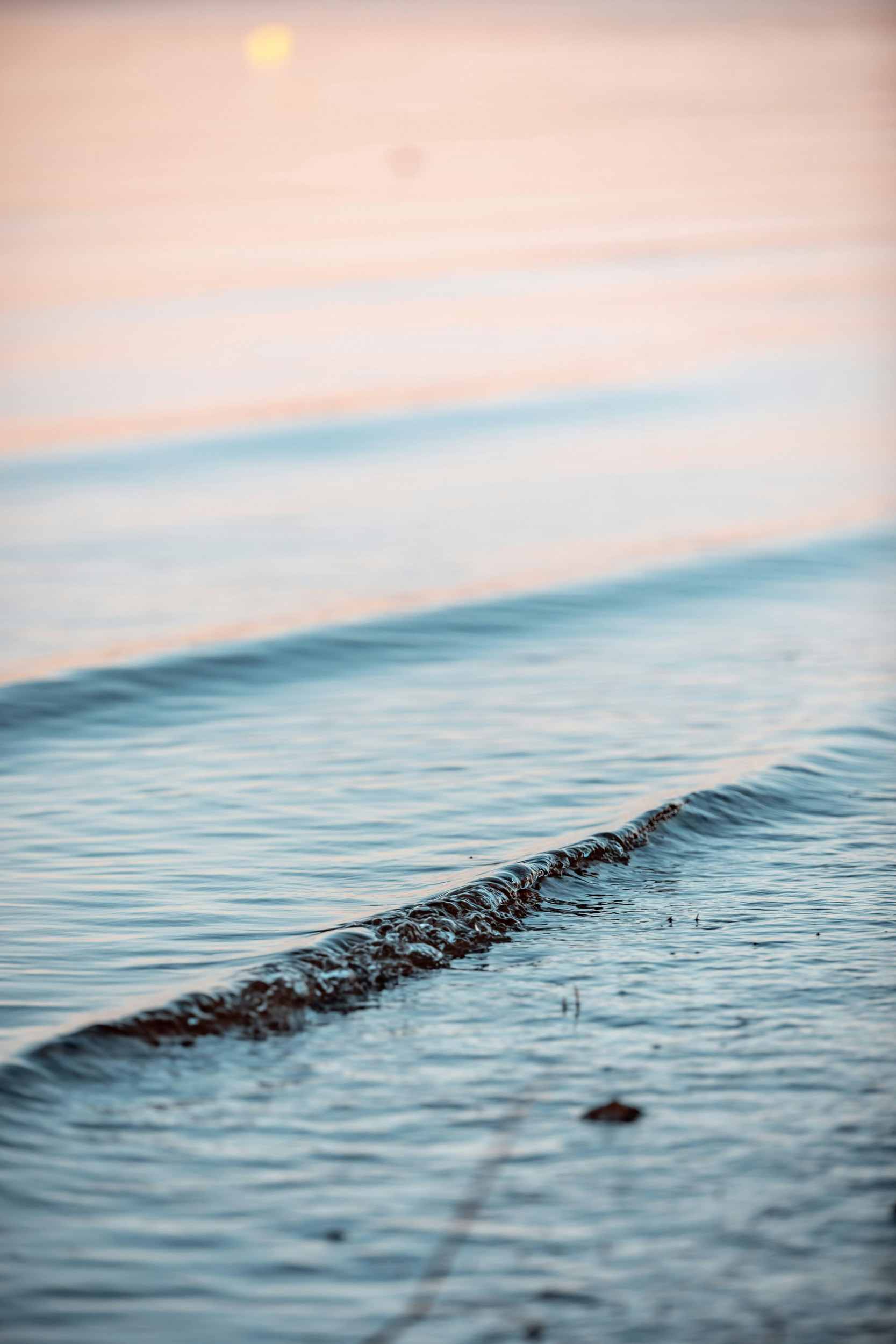 Beeld Unsplash