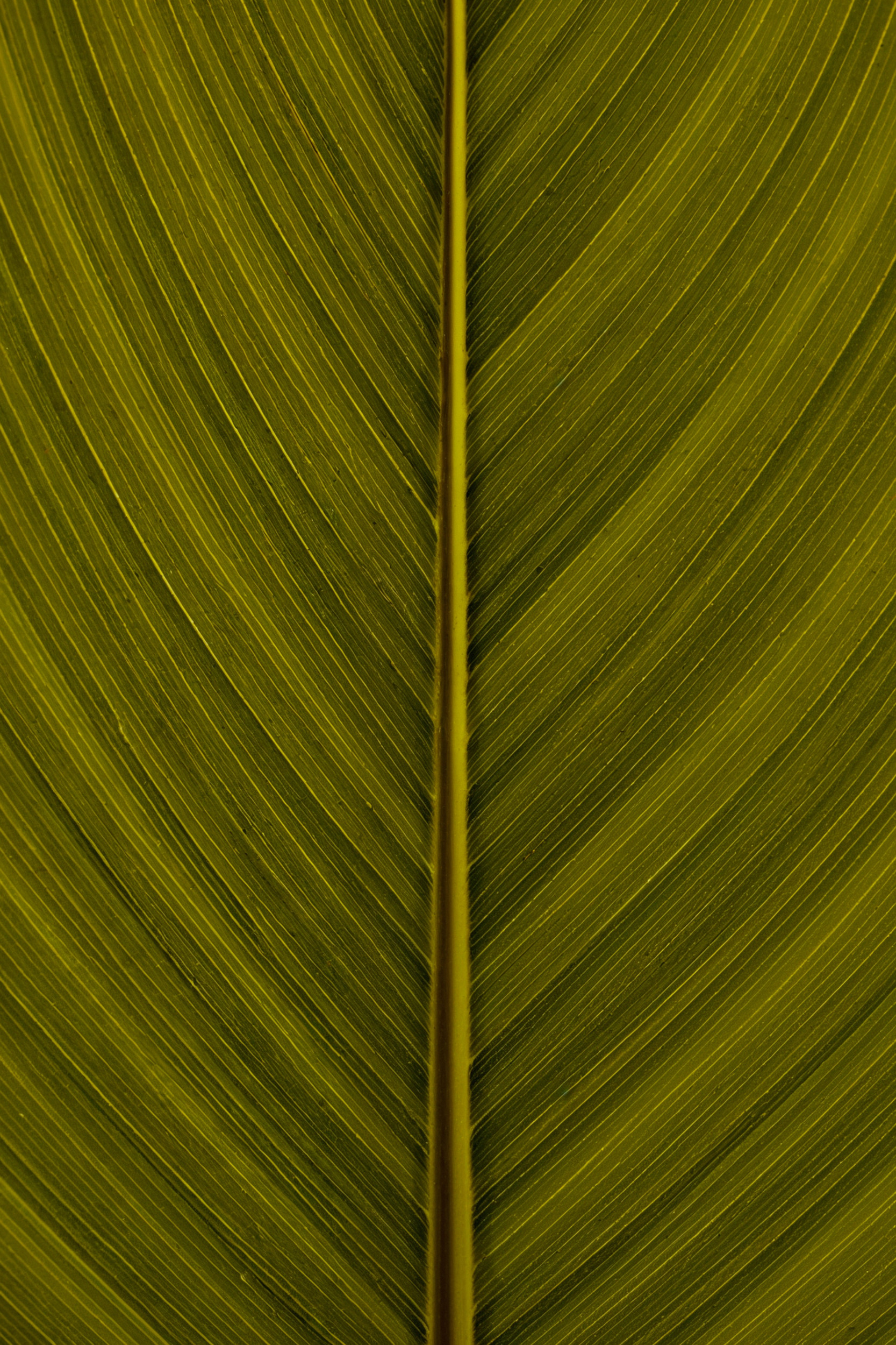 Beeld: unsplash