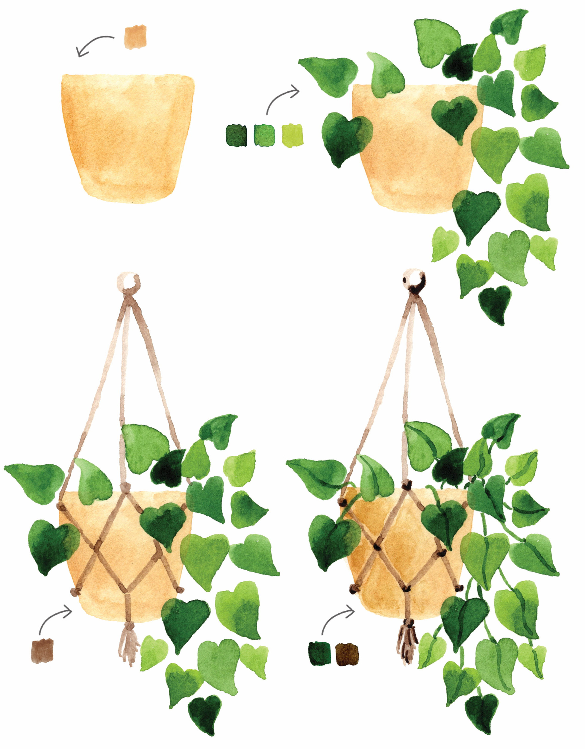Beeld uit: Aquarel in 30 minuten
