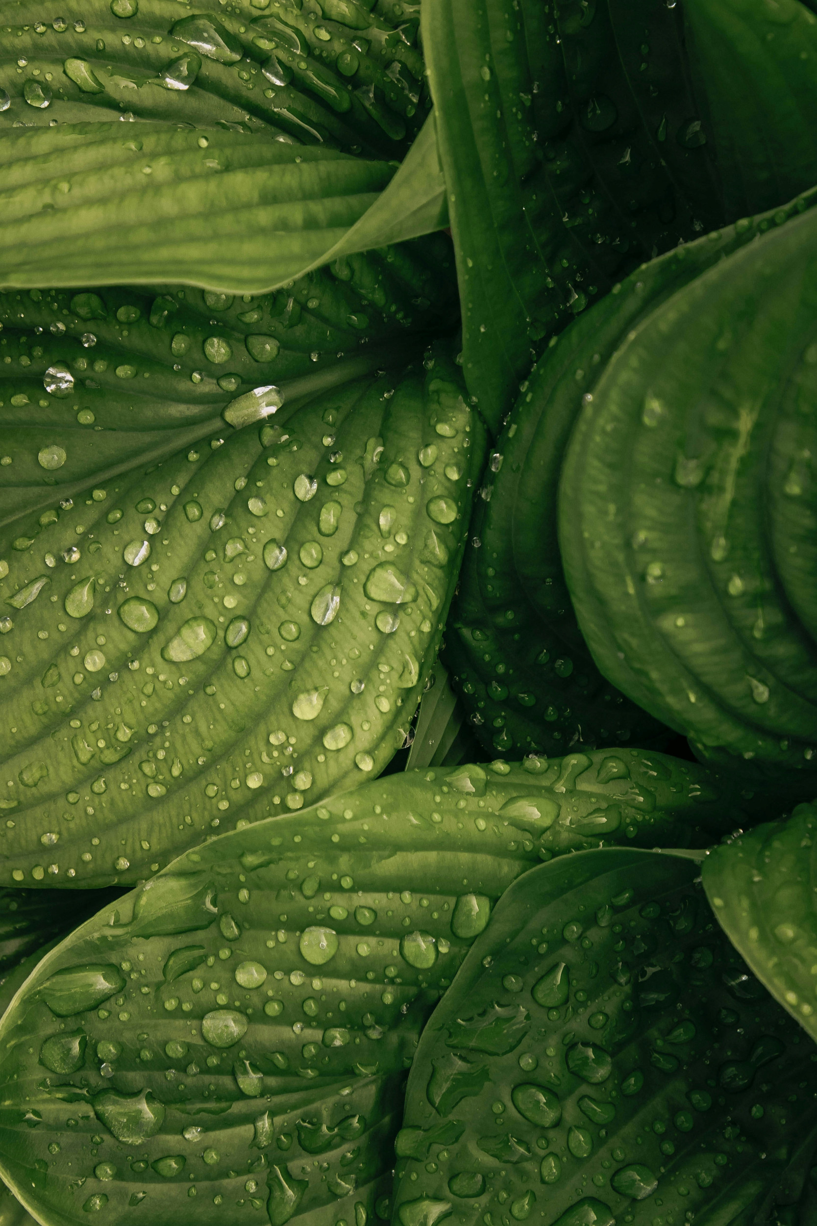 unsplash