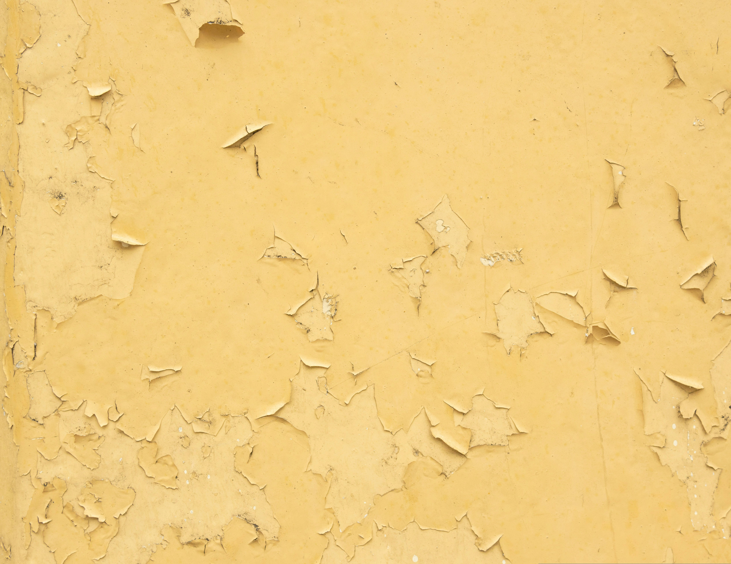 Beeld: unsplash