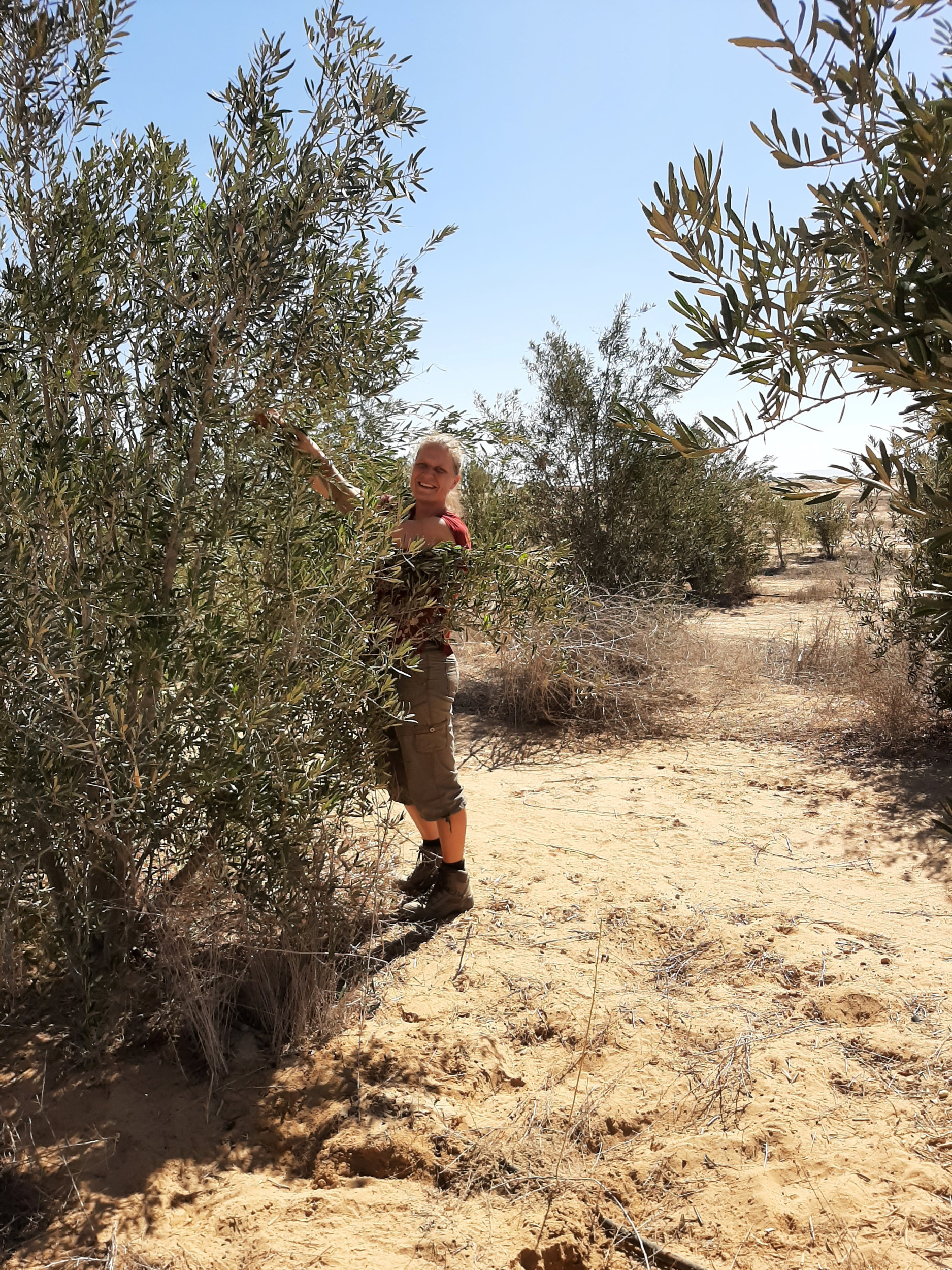 Vrouw met blond haar achter een hoge struik in een woestijn.