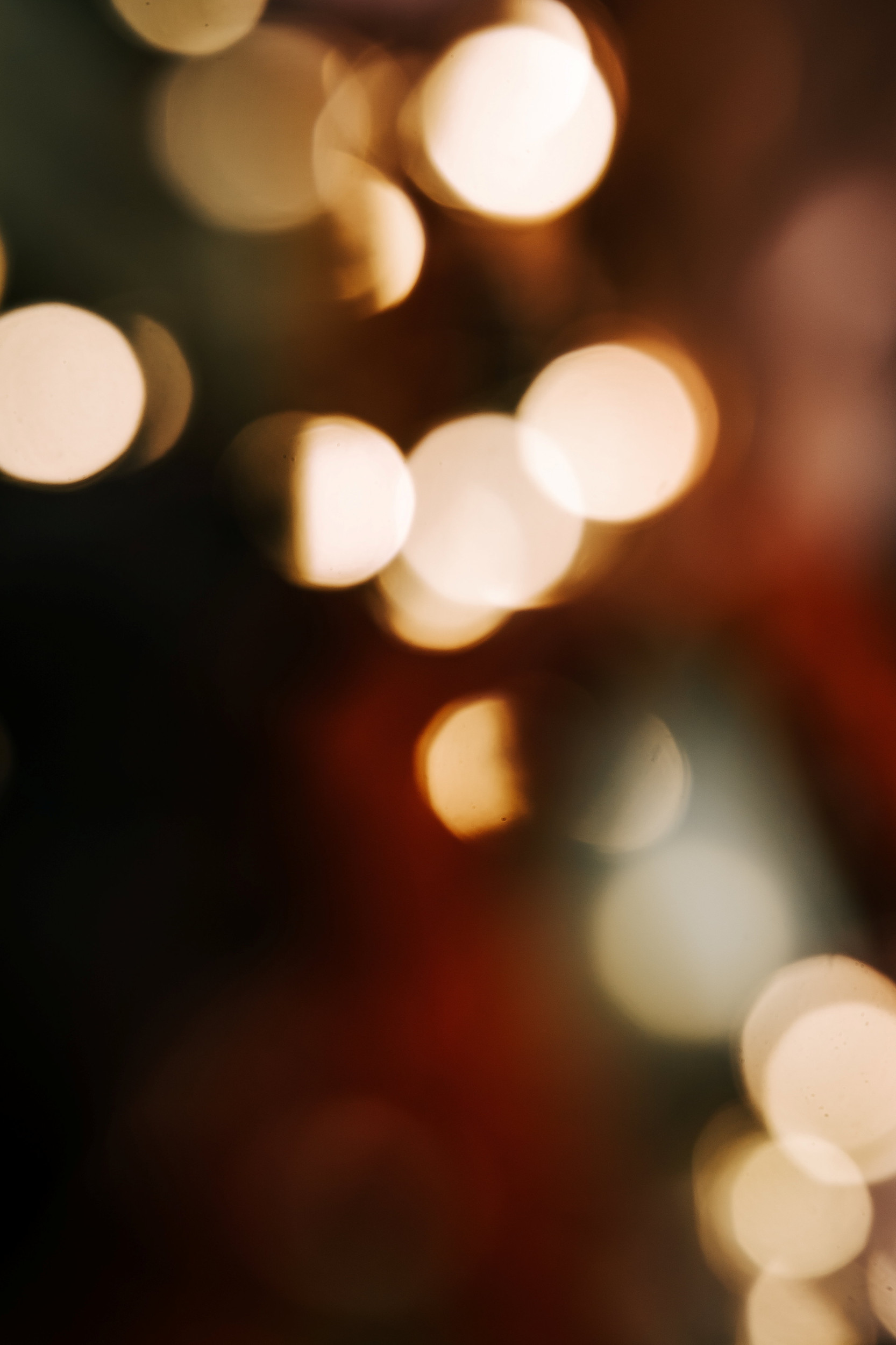 Beeld Renate Bleijenberg-van Leeuwen