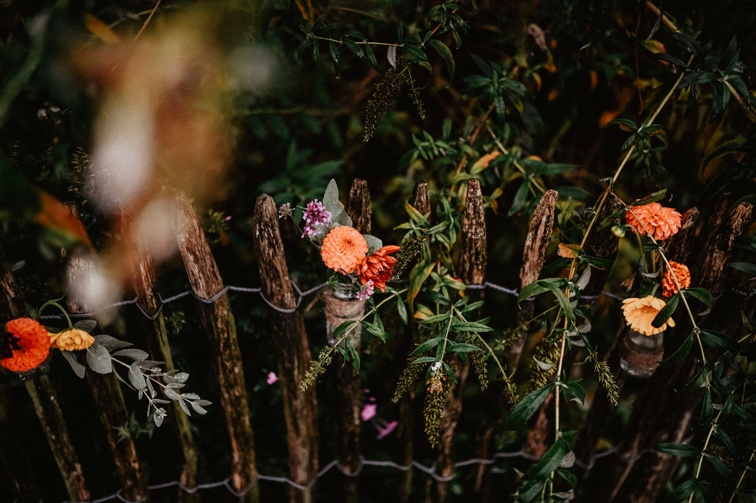 beeld Niels Scheurwater