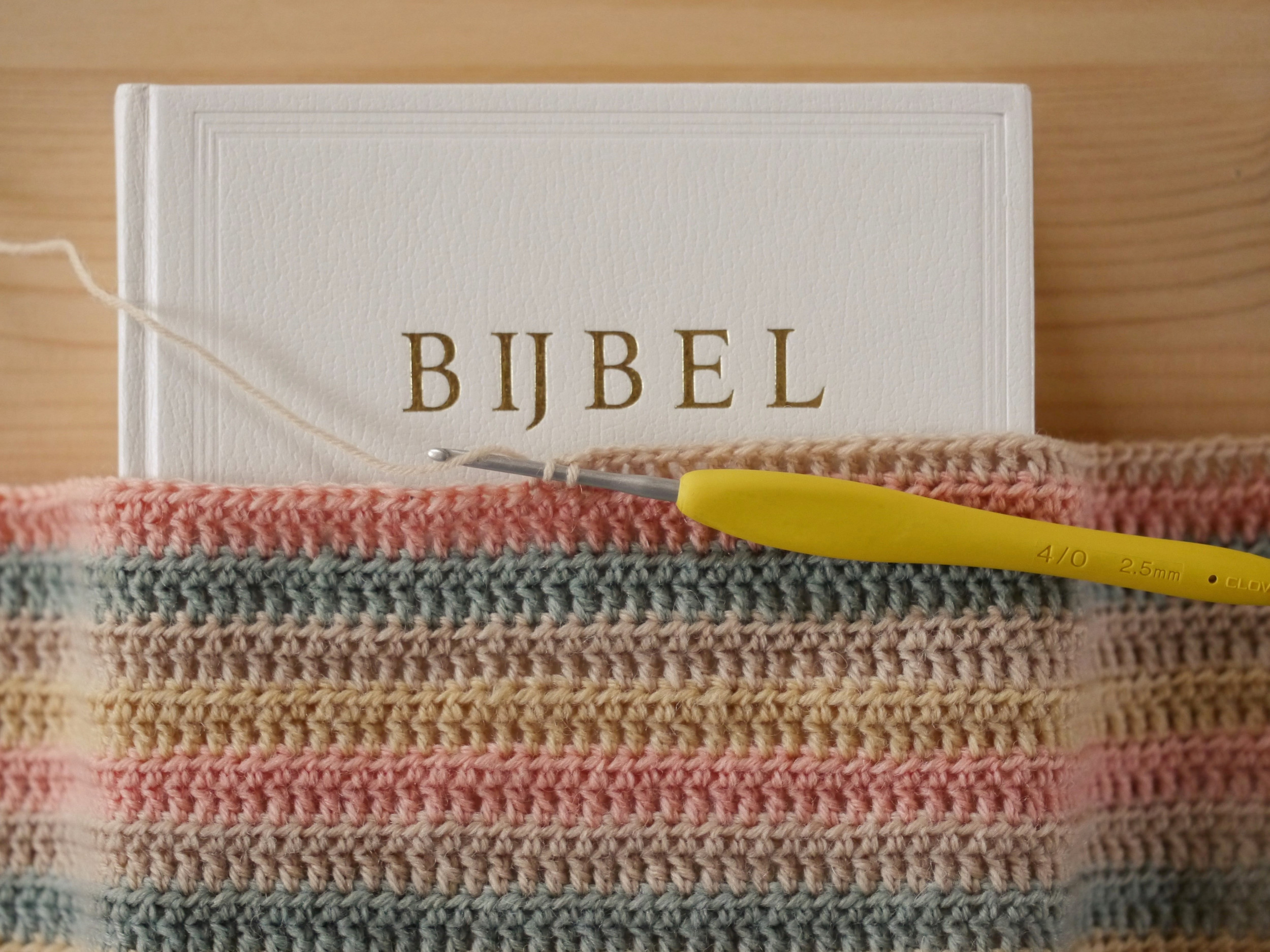 DIY Nienke Landman Bijbelhoes. beeld Nienke Landman