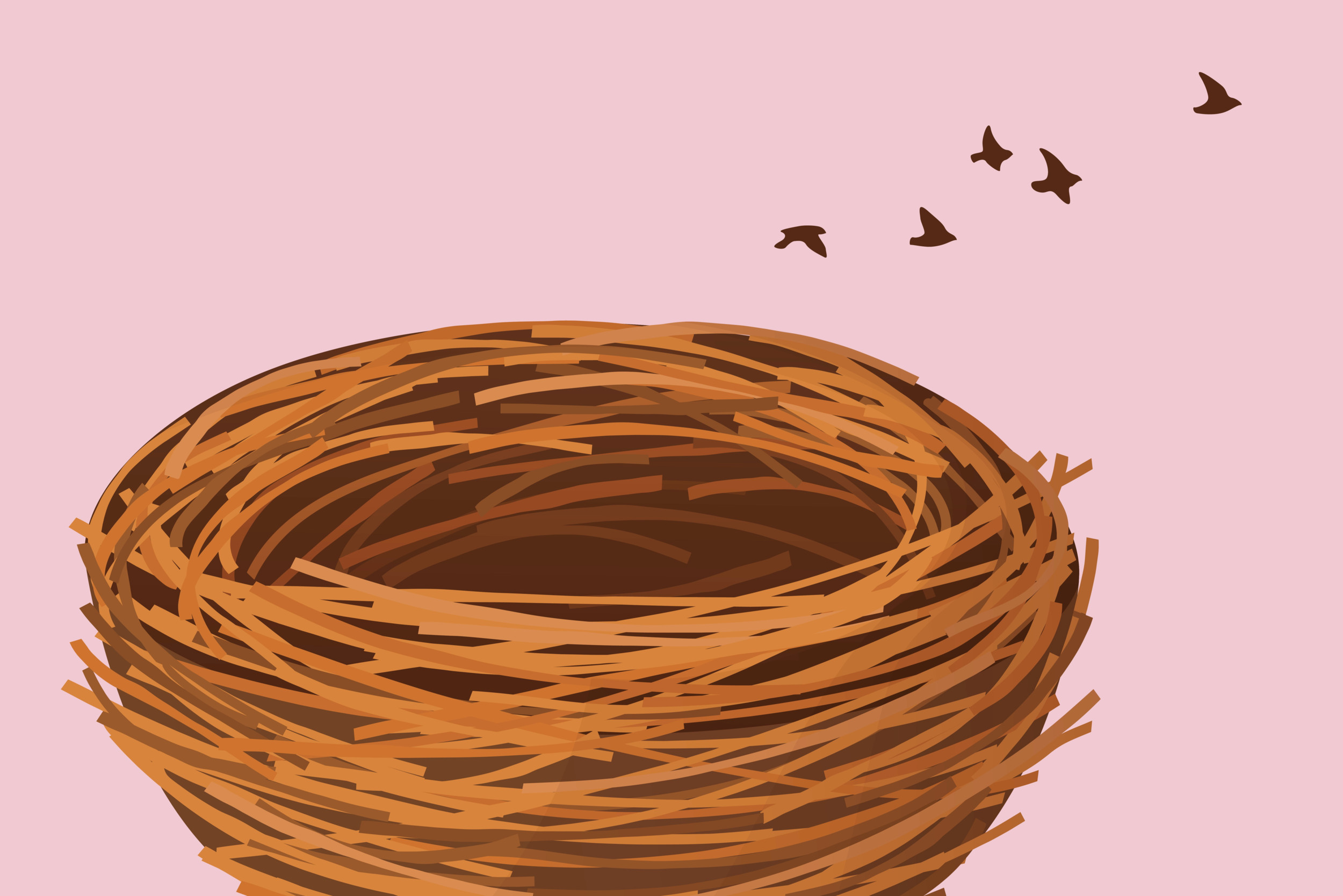 Illustratie van een leeg nest.