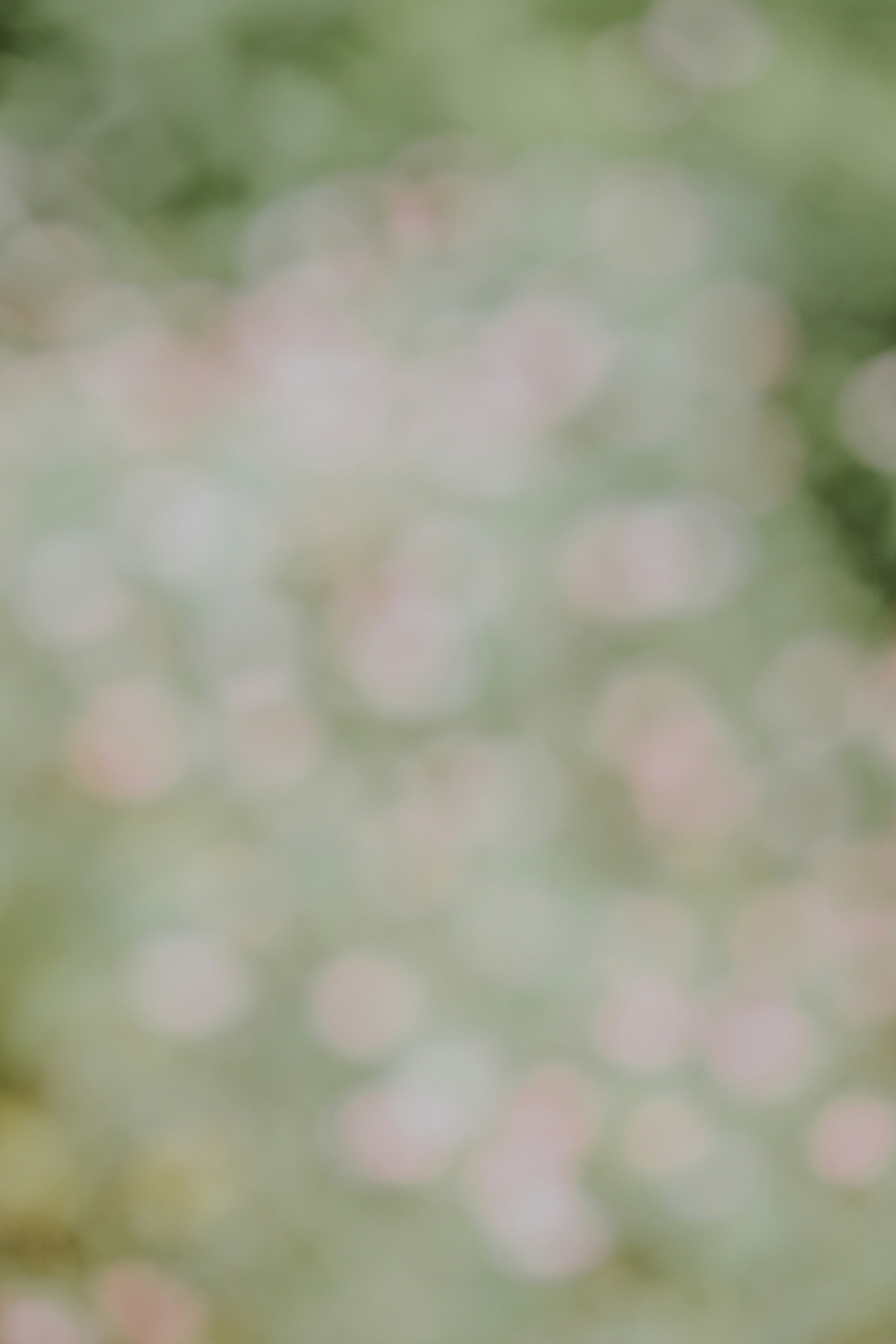 beeld Unsplash