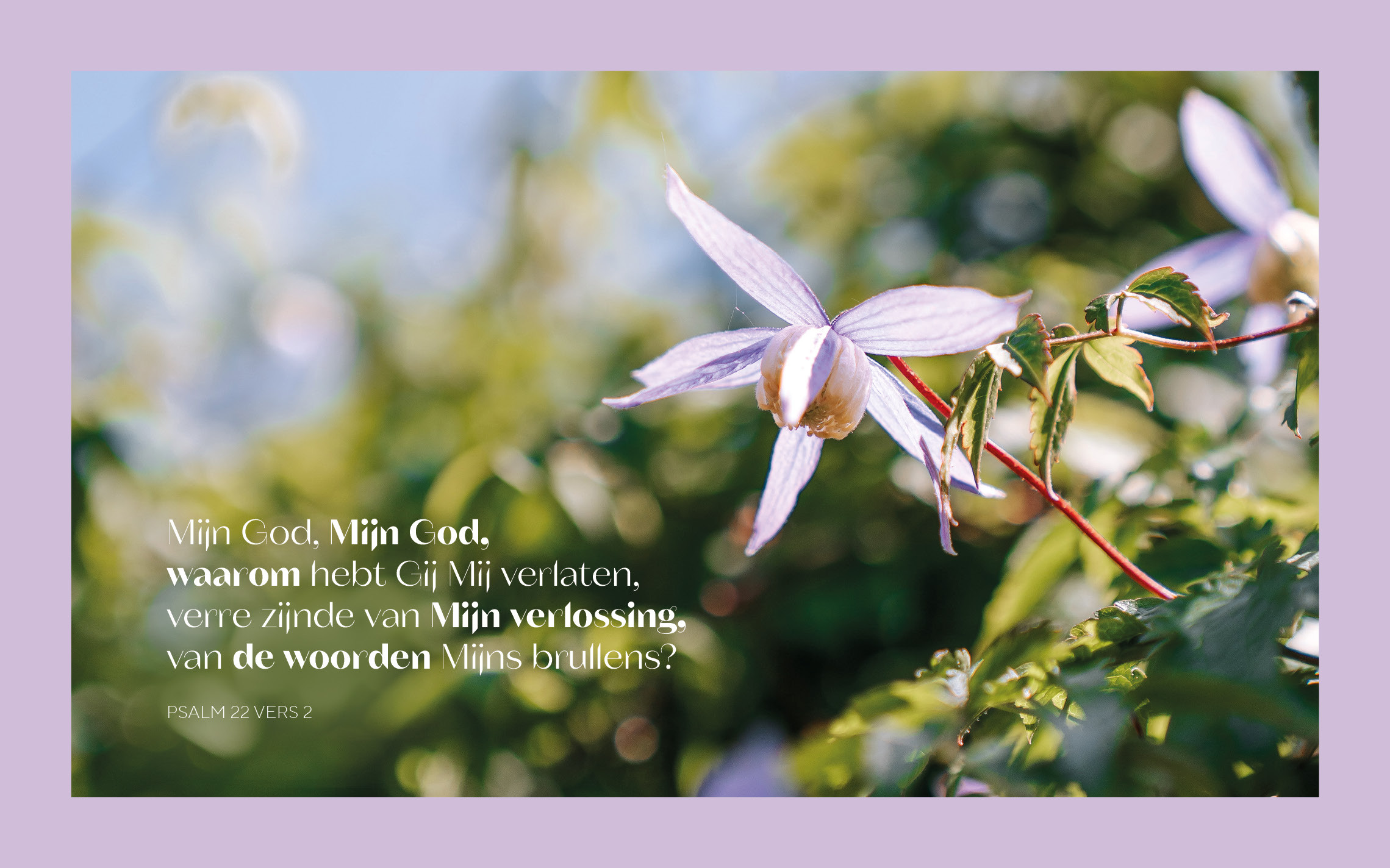 „Mijn God, Mijn God, waarom hebt Gij Mij verlaten, verre zijnde van Mijn verlossing, van de woorden Mijns brullens?”