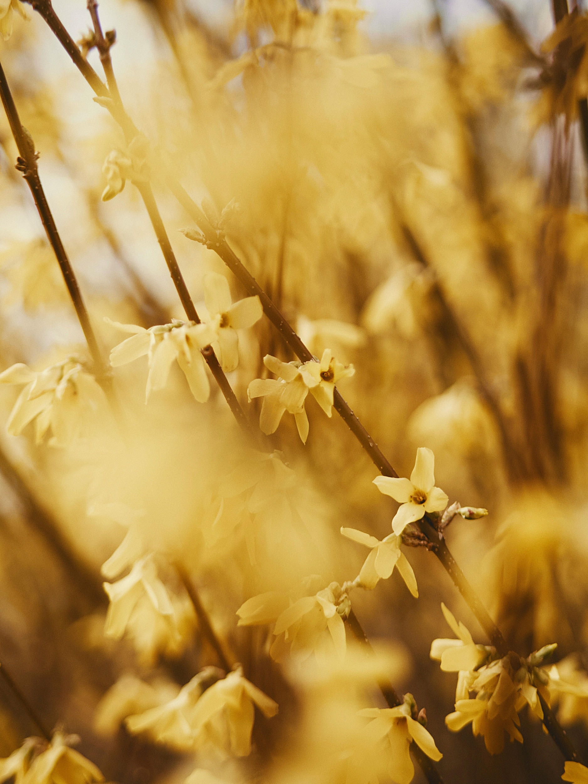 beeld Unsplash
