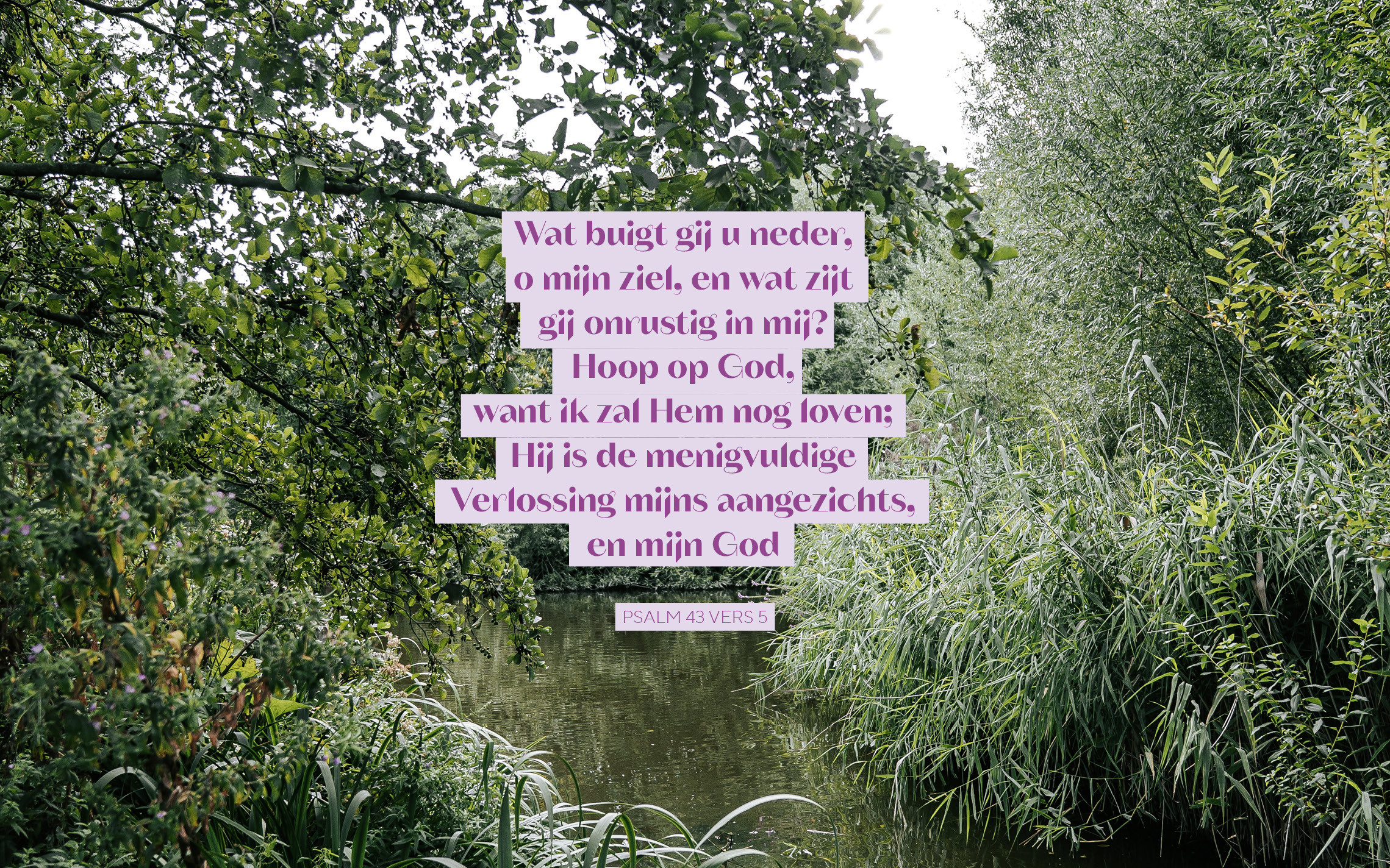 Psalm 43