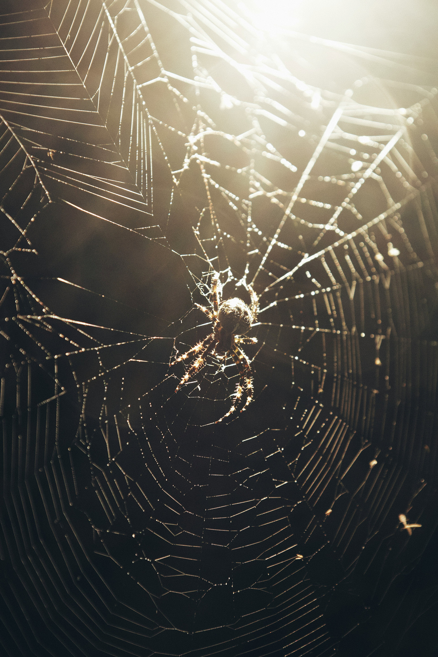 beeld Unsplash