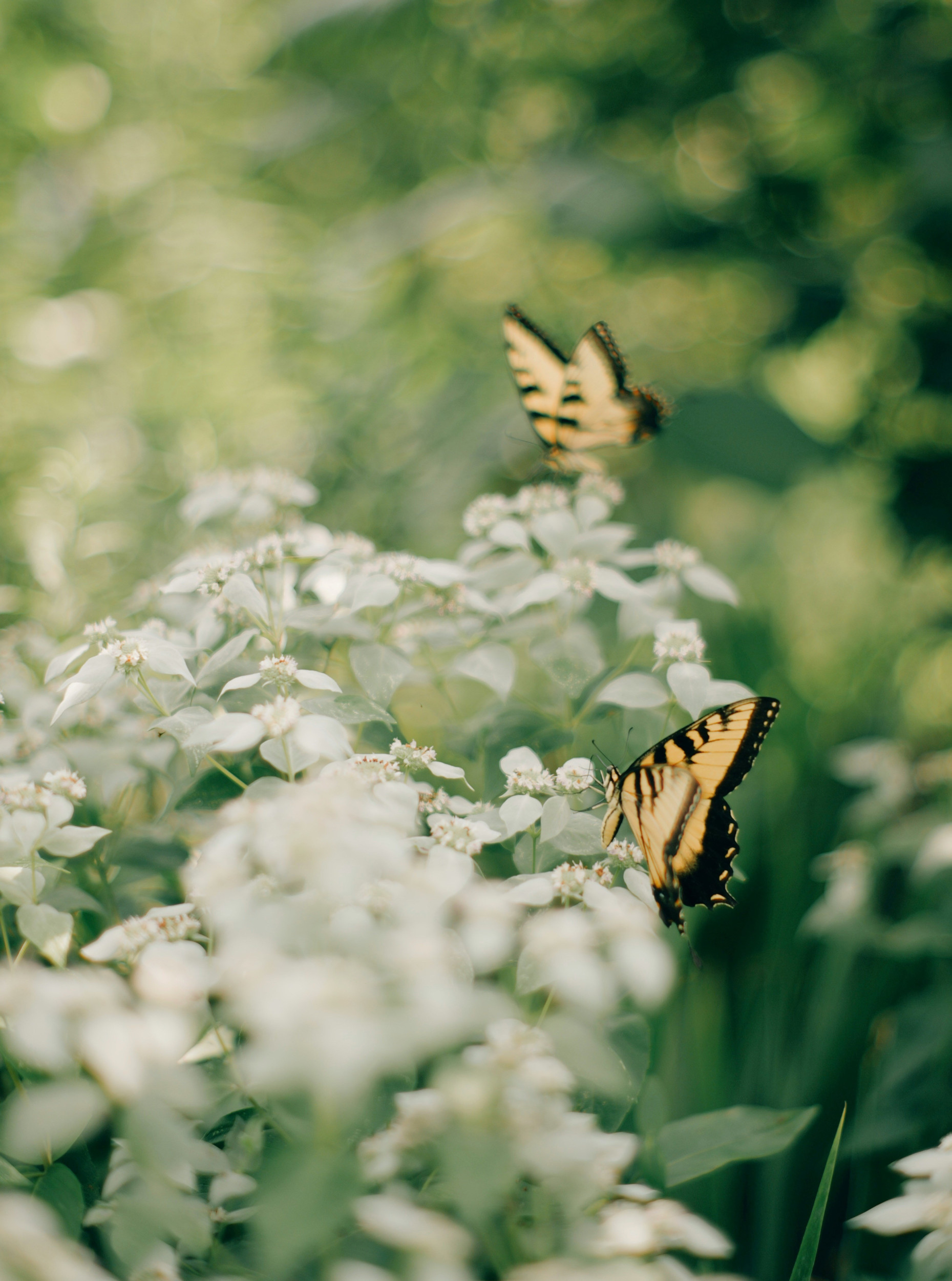 Beeld Unsplash