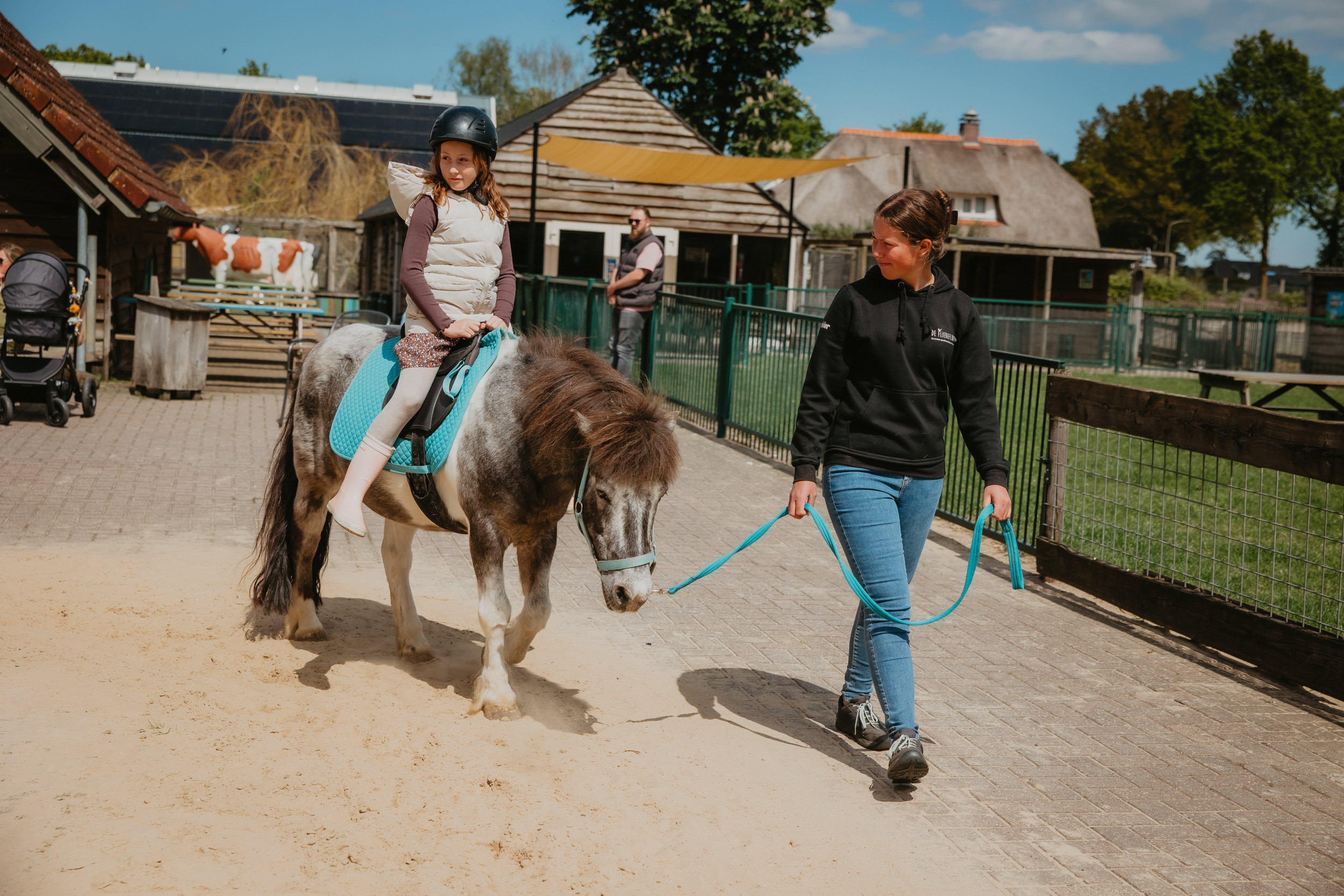 Flierefluiter Raalte