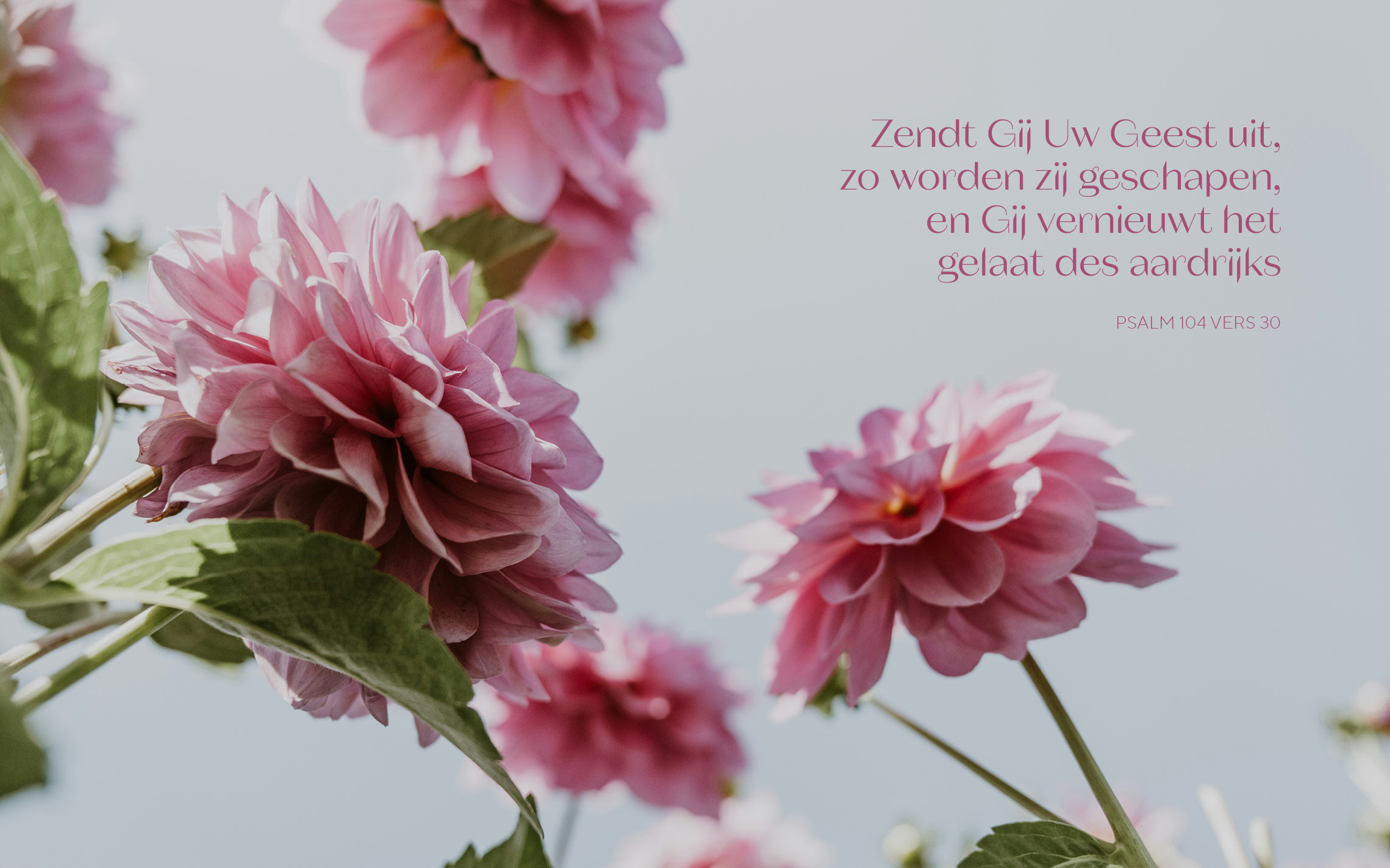Psalm 104