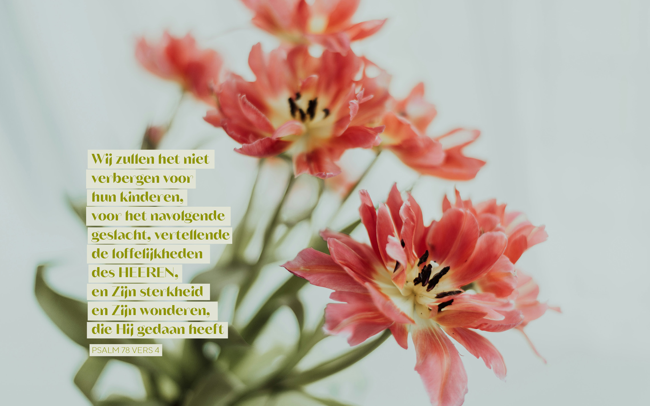 Psalm 78