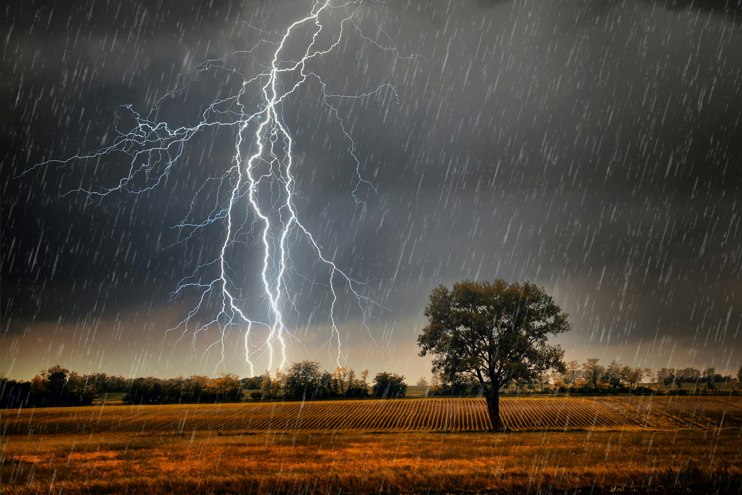 beeld Unsplash