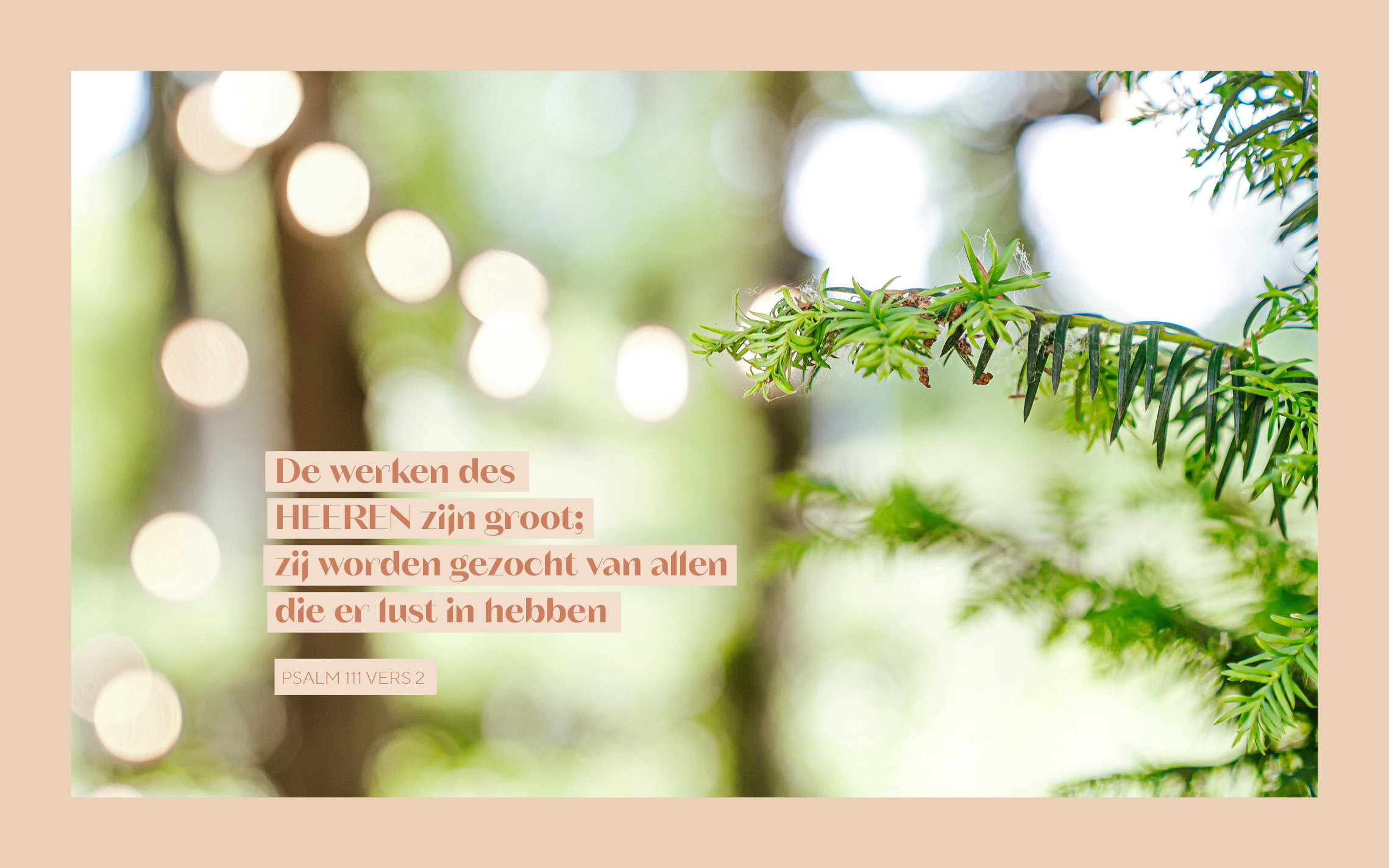 Psalm 111