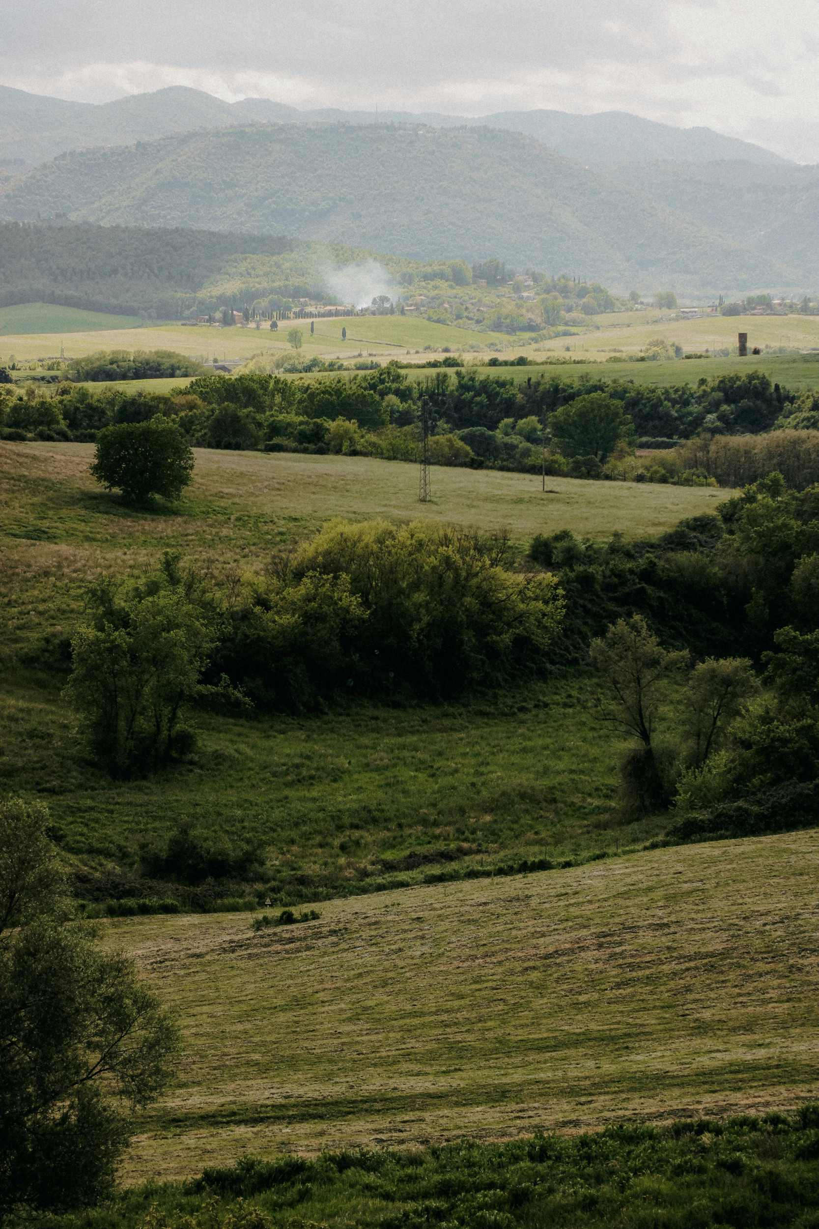 Beeld Unsplash