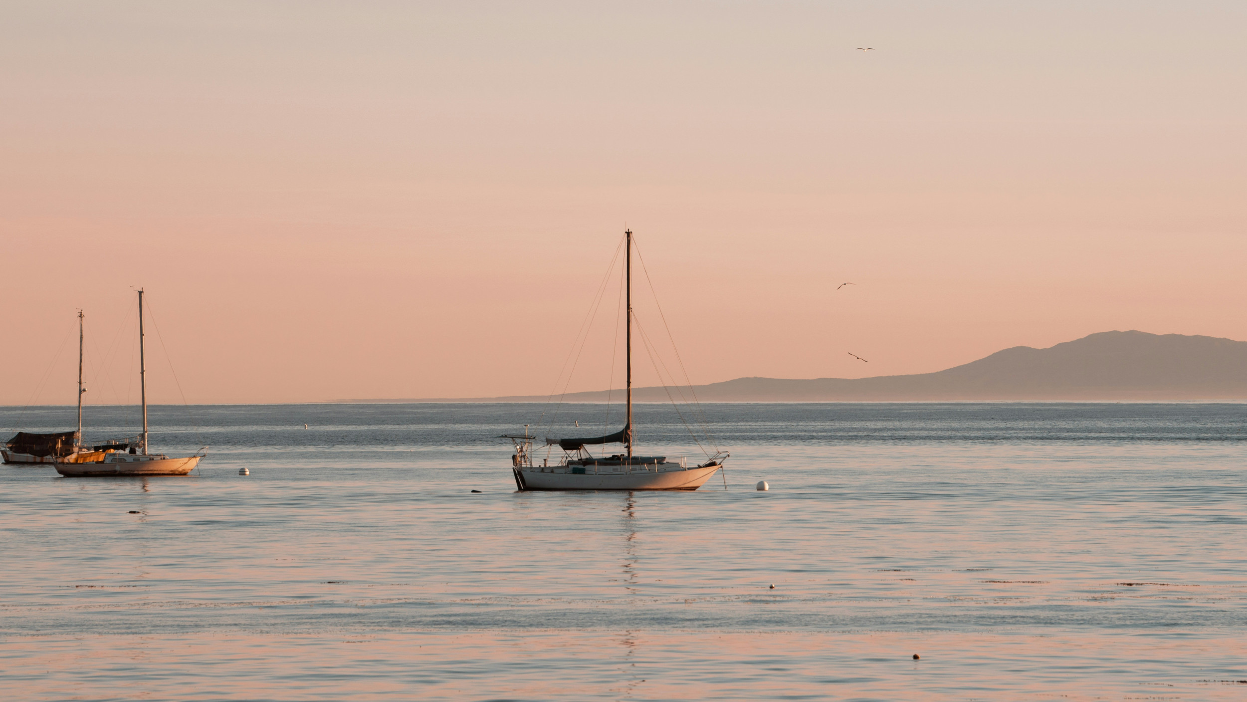 Beeld Unsplash