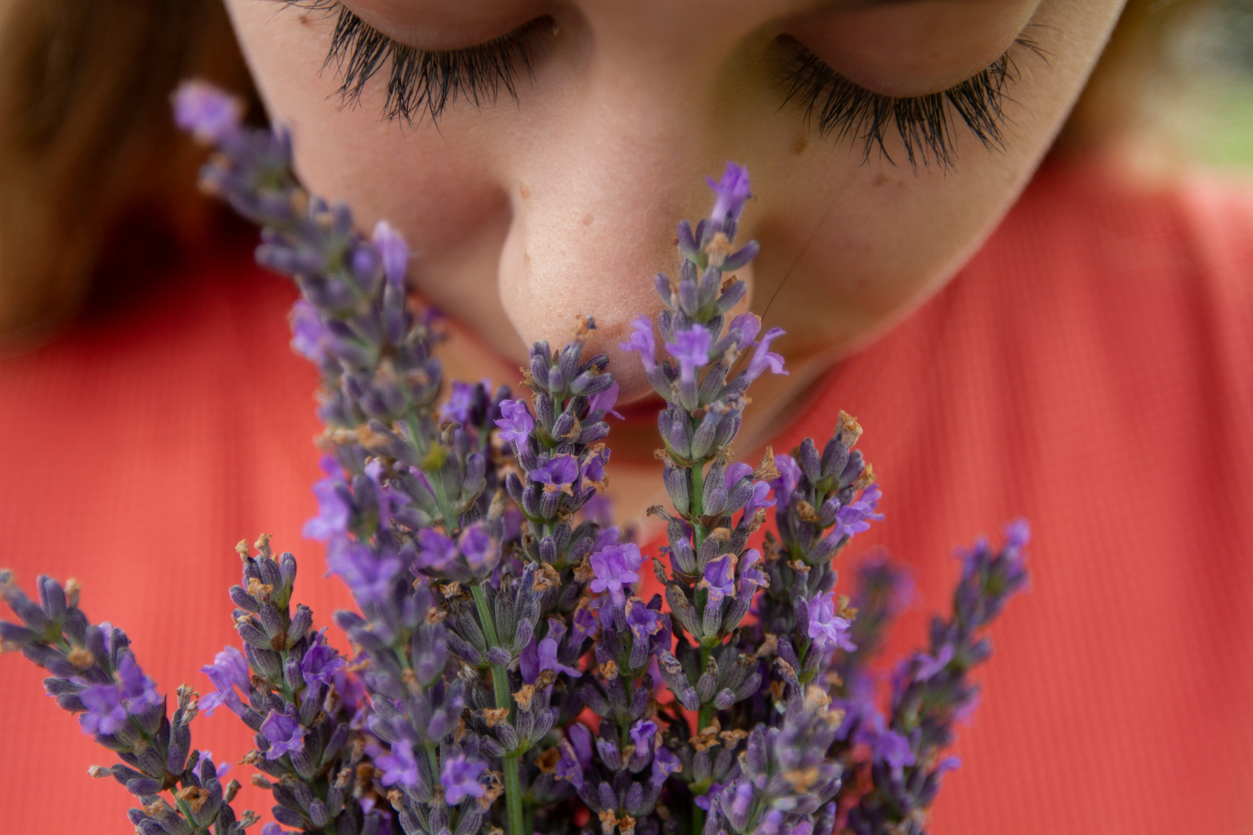 beeld Unsplash