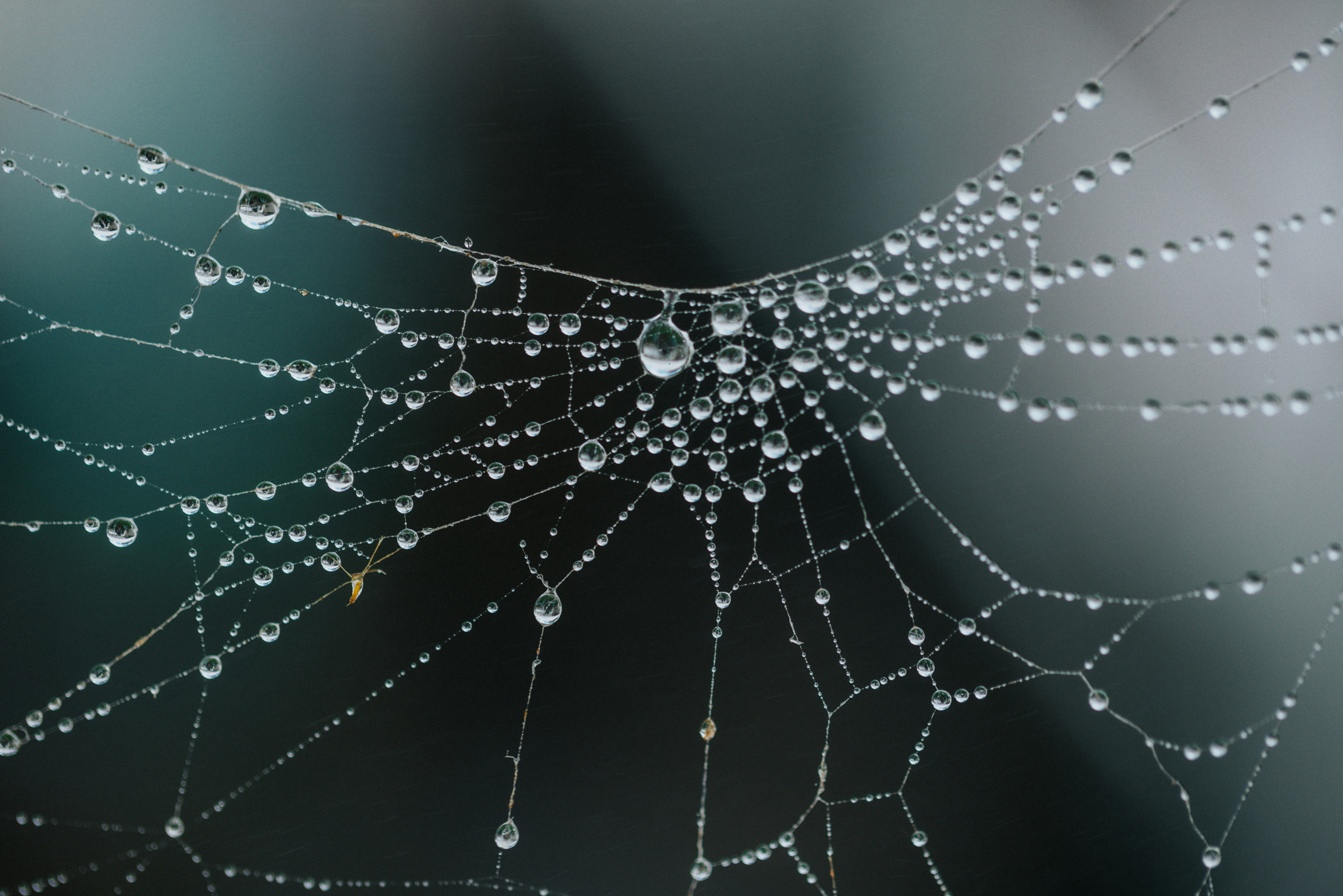 beeld Unsplash