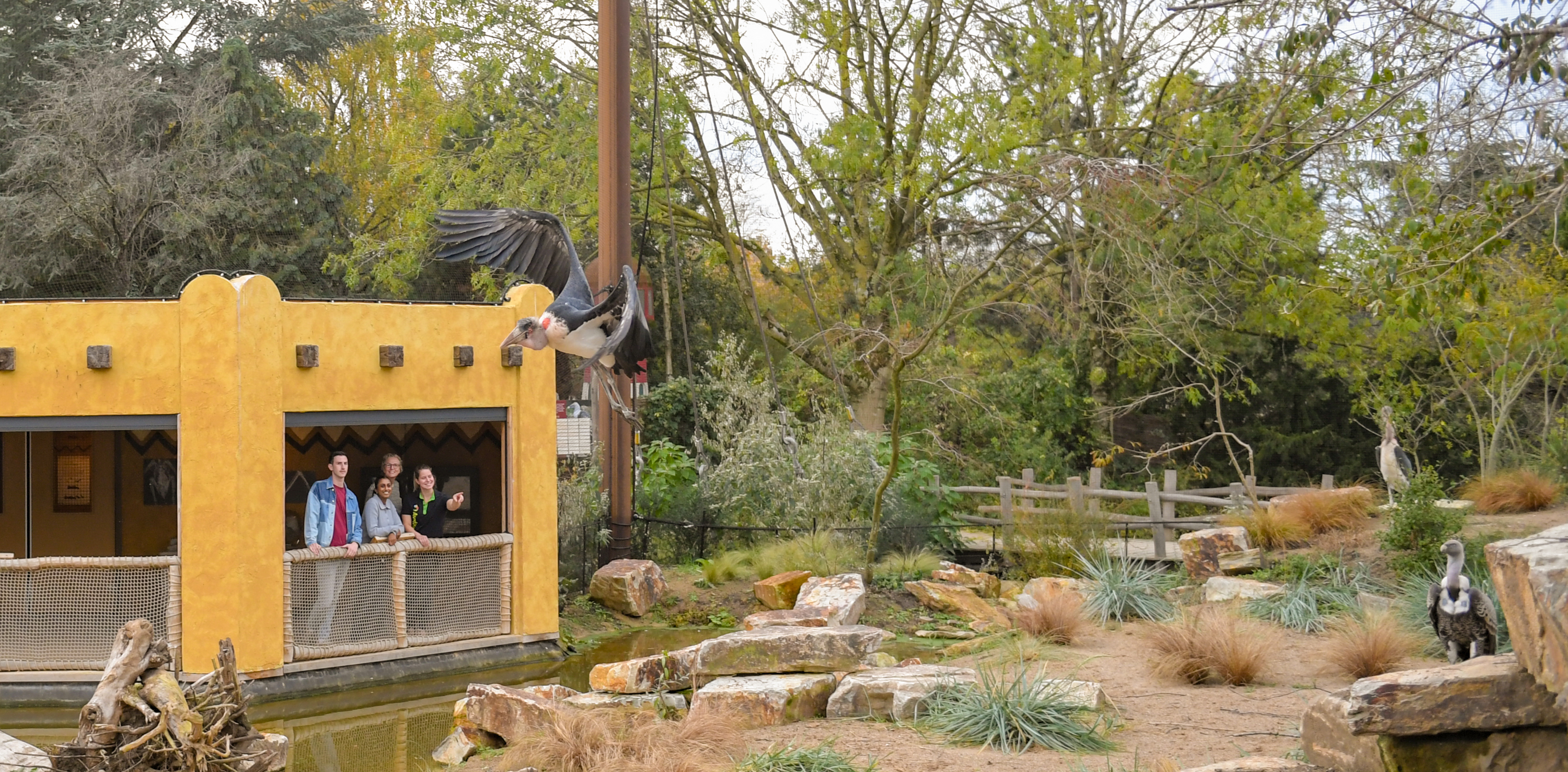 Vogelpark Avifauna