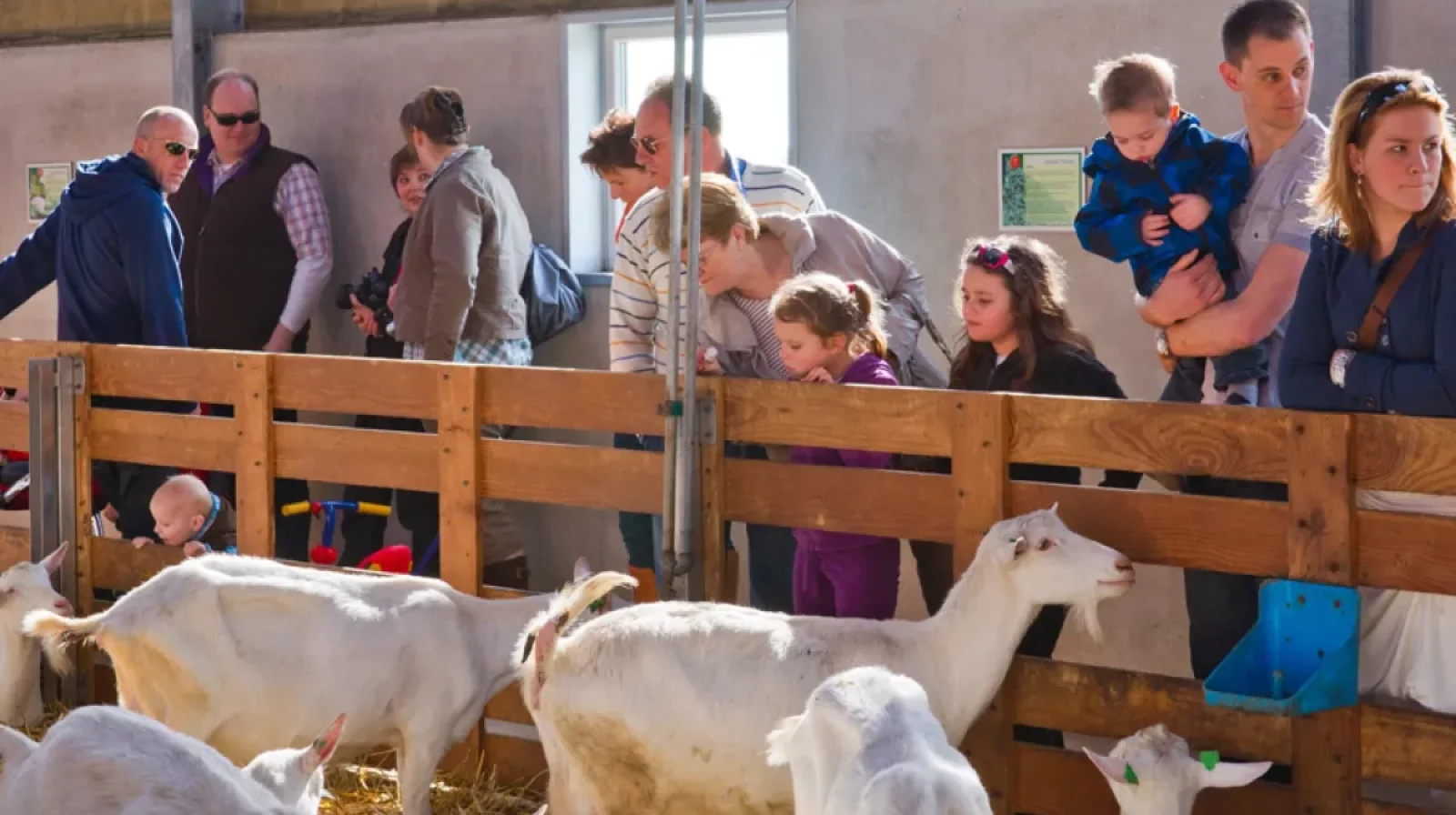 Geitenboerderij De Mèkkerstee