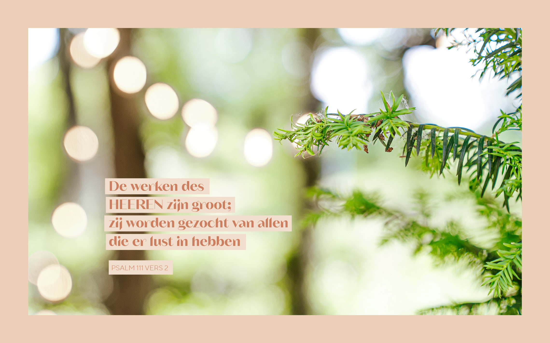   Psalm 111